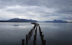 Psicoterapia Virtual: Una Opción Viable para Combatir la Depresión en Punta Arenas
